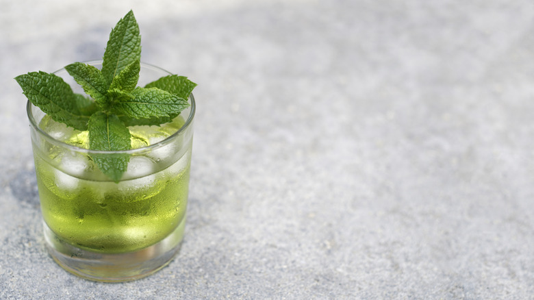 Spicy mojito with mint sprig