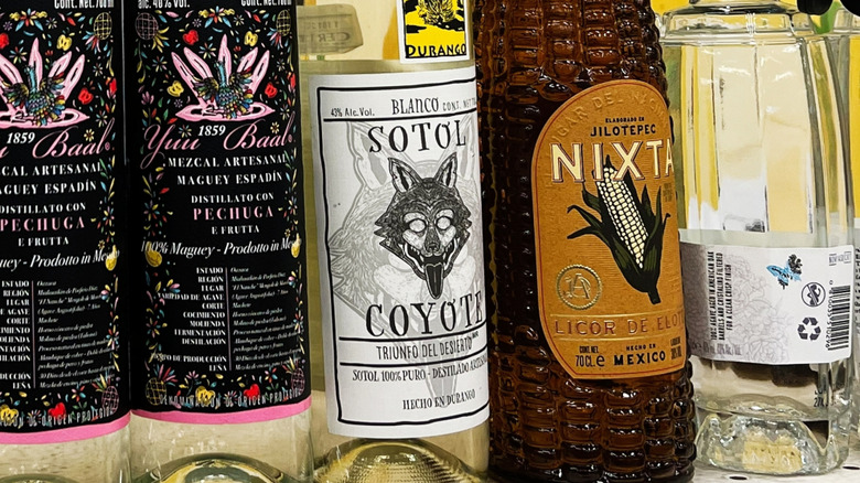 Bottles of Mexican liqours including sotol