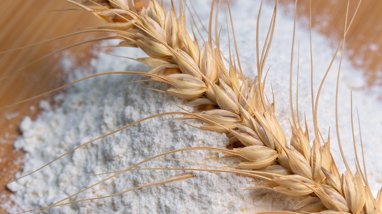 Wheat and flour