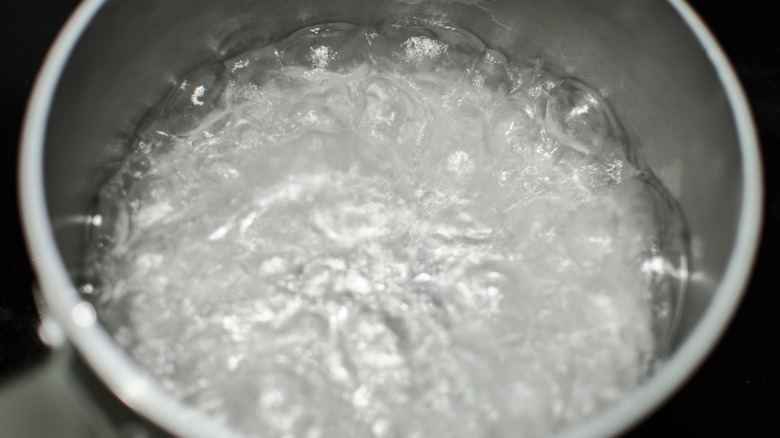 A pot of boiling water 
