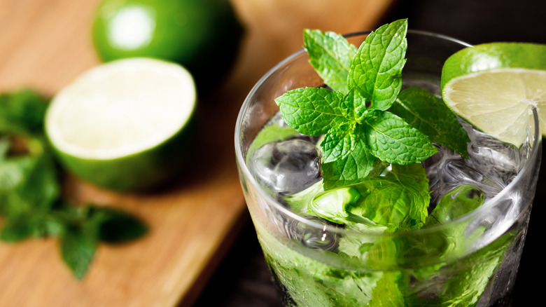 Mojito with sprig of mint.