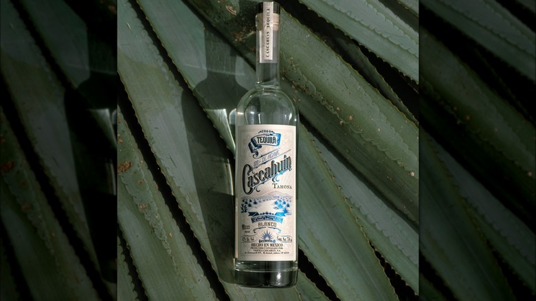 Cascahuin Tahona Blanco tequila