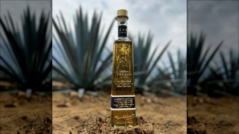 Cedano Reposado by Tequila Tromba