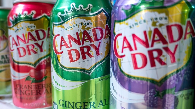 Different flavored Canada Dry ginger ale cans