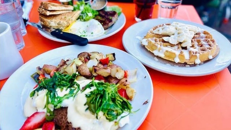 Brunch dishes at Wilma & Frieda