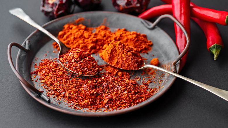 Spanish paprika powder on a spoon