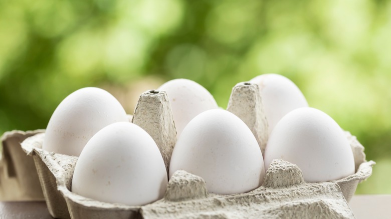 Eggs in carton outdoors