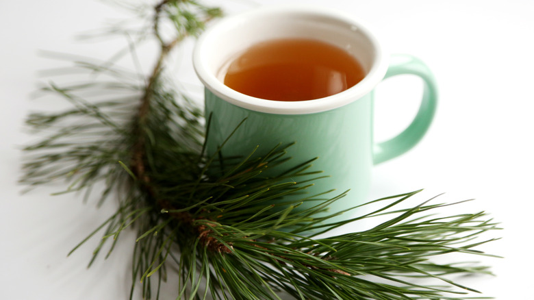 A cup of tea with a sprig of pine needles next to it.