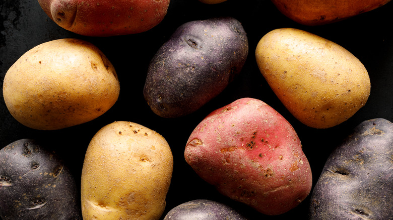 multicolored potato varieties