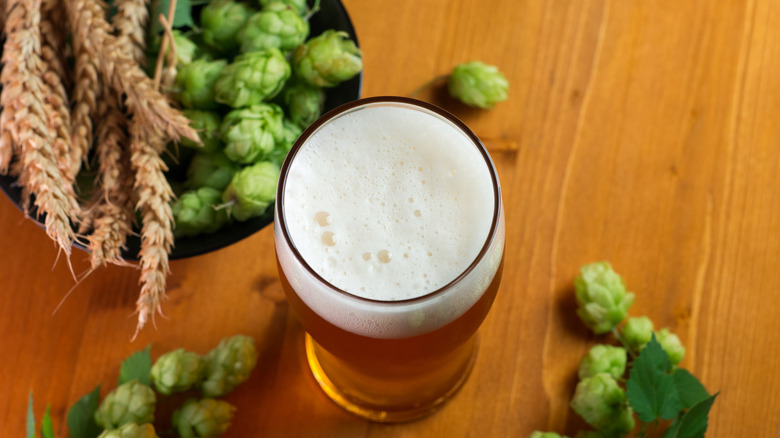 IPA pictured with fresh hops