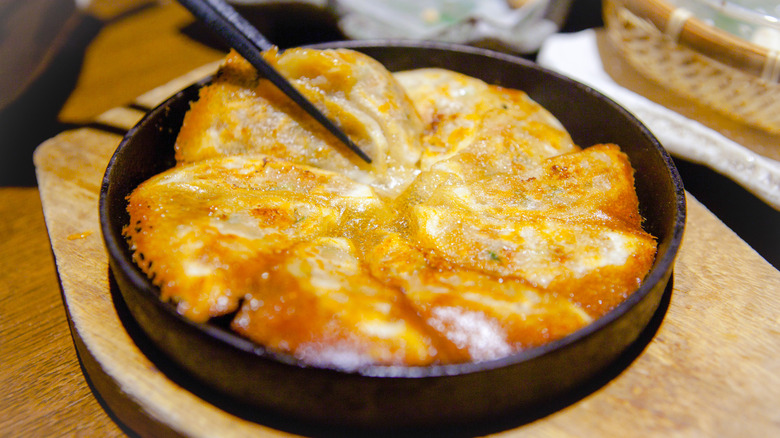 Round serving dish of extra crispy gyoza