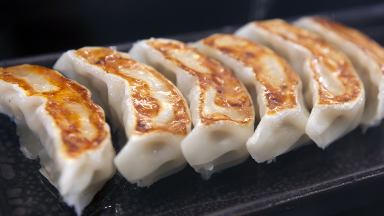 Serving of pan-fried gyoza