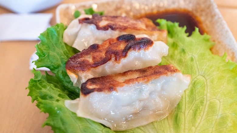 Pan-fried gyoza on lettuce leaves with dipping sauce