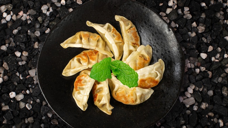 Round black plate of gyoza