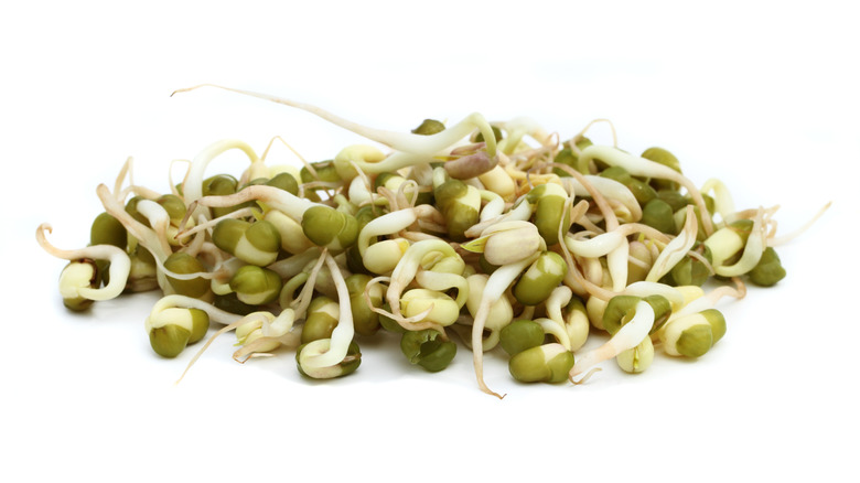 Fresh mung bean sprouts