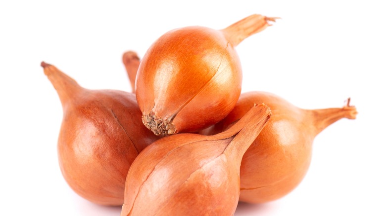 Yellow pearl onions on a white background