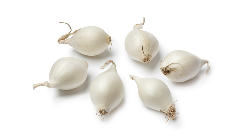 Small white pearl onions on a white background