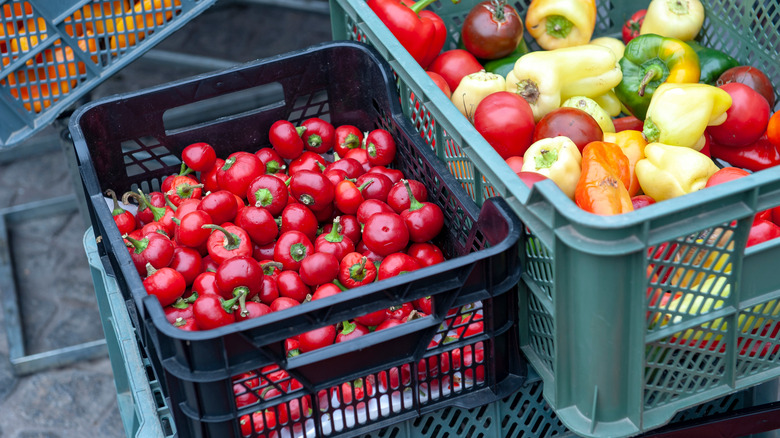 crate of pimento peppers