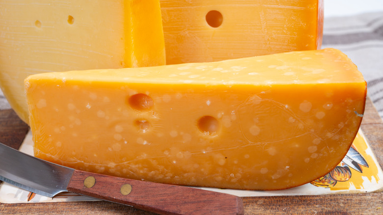 Gouda cheese close-up