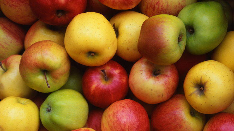 Variety of multicolored apples