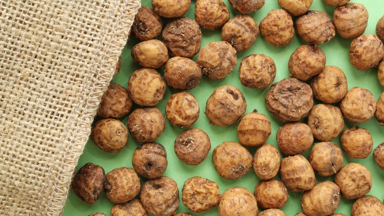 A single layer of tiger nuts on a green background next to a burlap sack