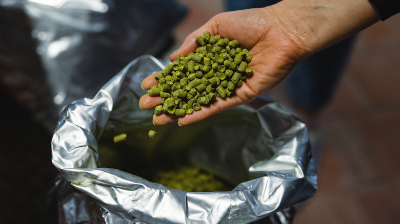 Handful of hop pellets used in beer brewing