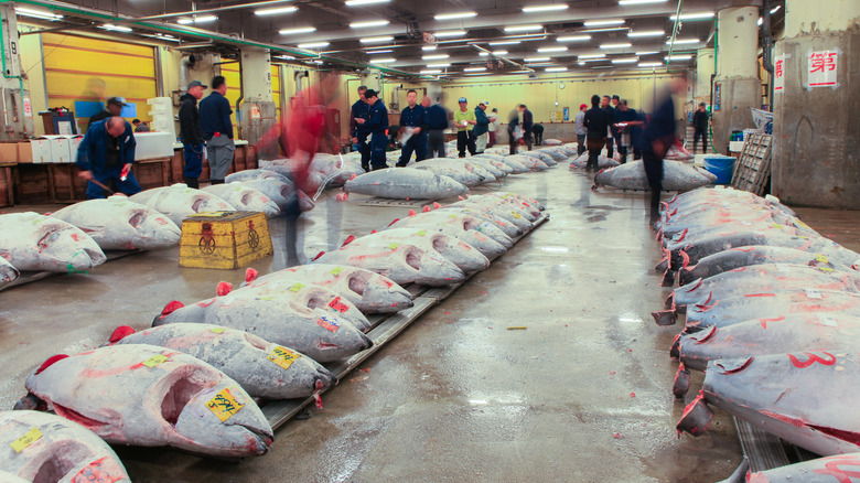 Tuna sold at commercial market