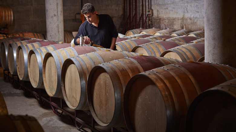 Winemaker checks on wine barrels