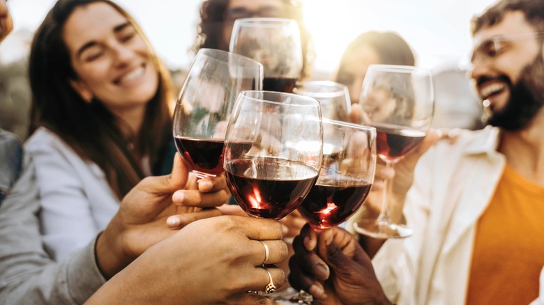 Young friends toasting with wine