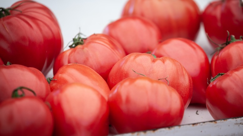 several beefsteak tomatoes on a white surface