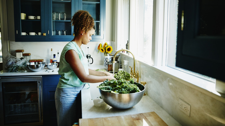 Person washing kale in sink