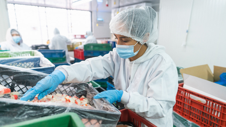 Woman working in fish process plant