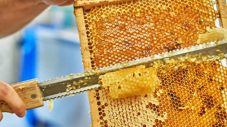 Honeycomb being scraped