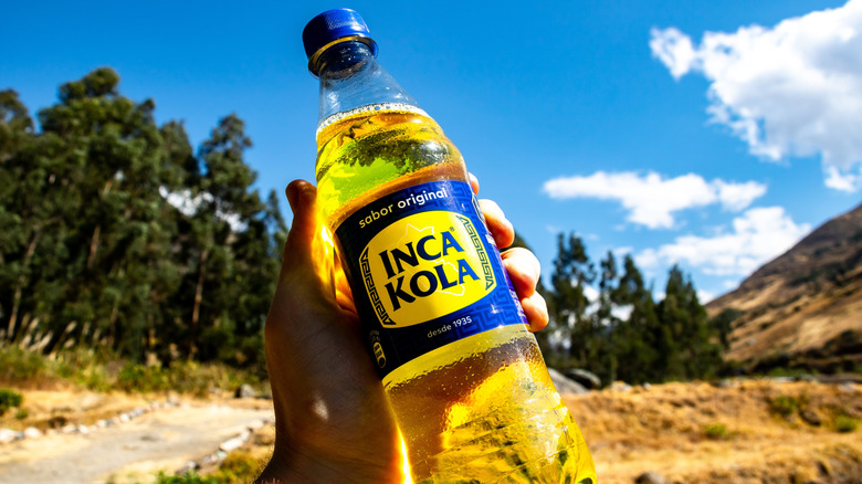 Hand holding Inca Kola