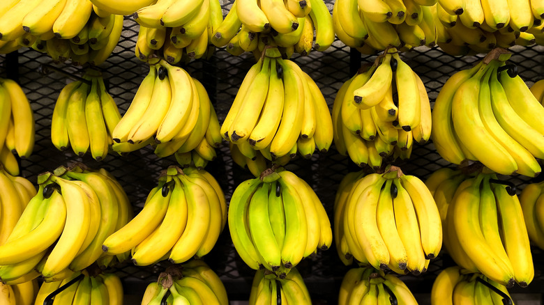 Bunches of bananas in a marketplace