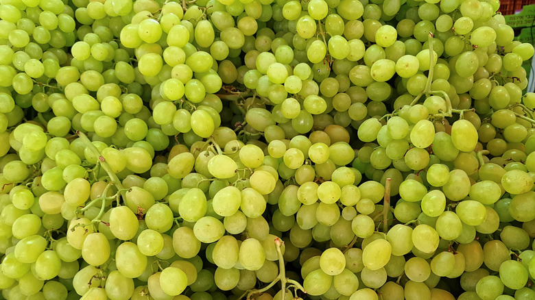 Bunches of green grapes