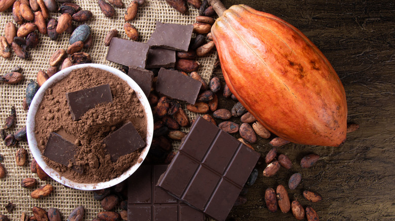 Fresh cocoa fruit, roasted cocoa beans, powdered cocoa, and chocolate