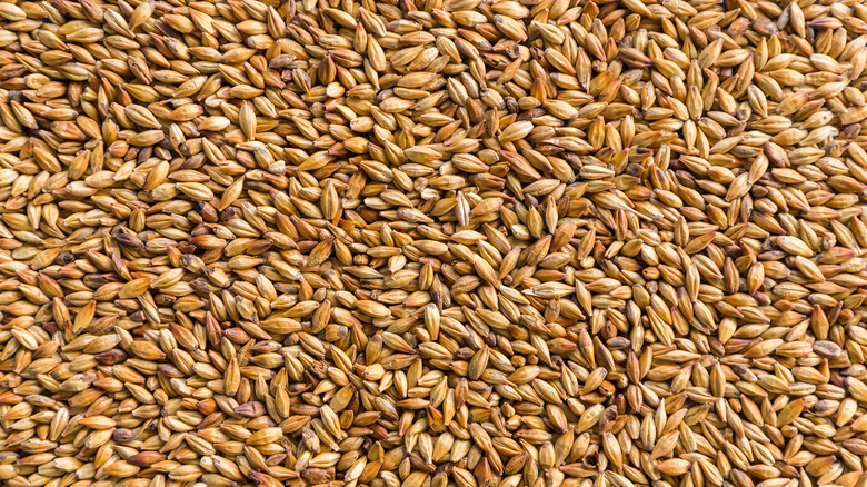 Close up of beer malts