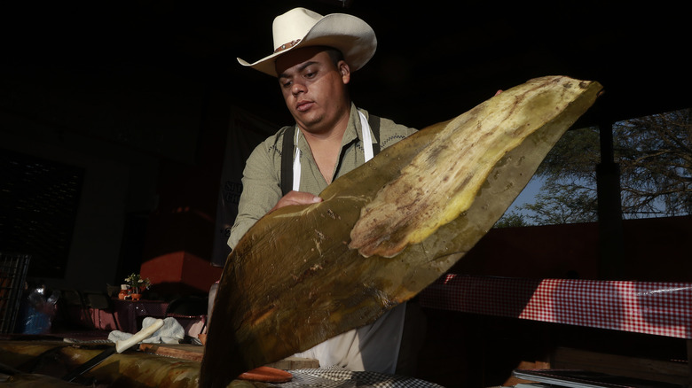 Person holding maguey leaf