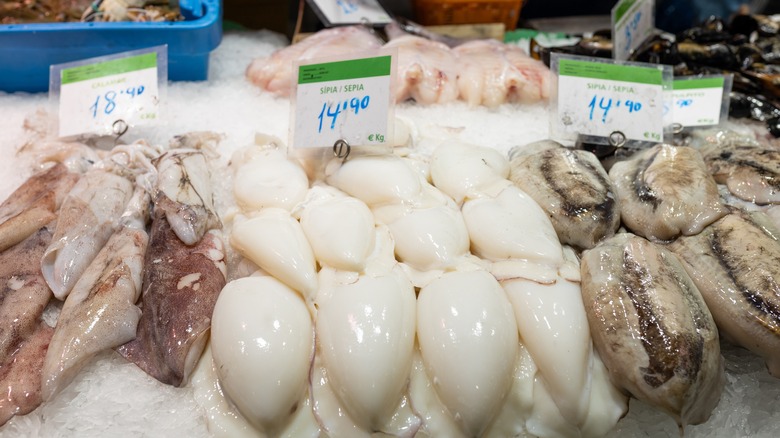 varieties of squid on ice