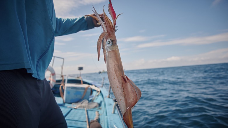 fisherman holding large squid