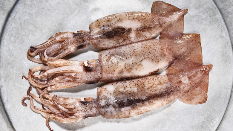 three fresh squid on plate