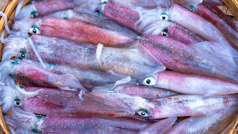 tray of small whole squid