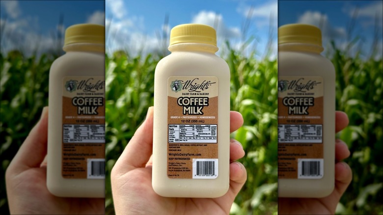 Holding bottle of Wright's Dairy coffee milk