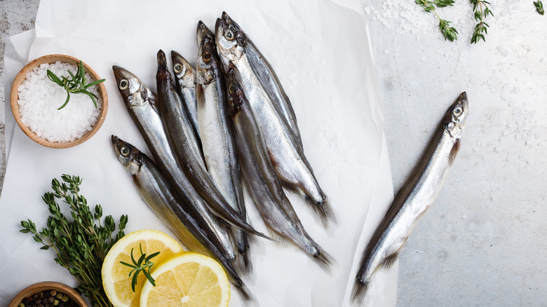 Capelin fish on white background