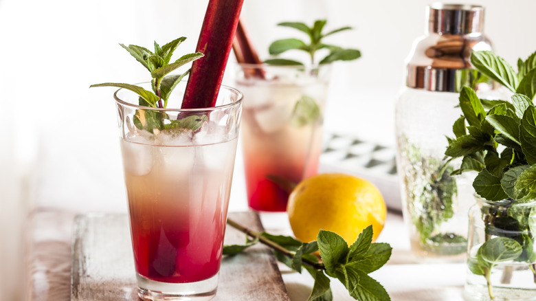 cocktails with rhubarb stalks and mint