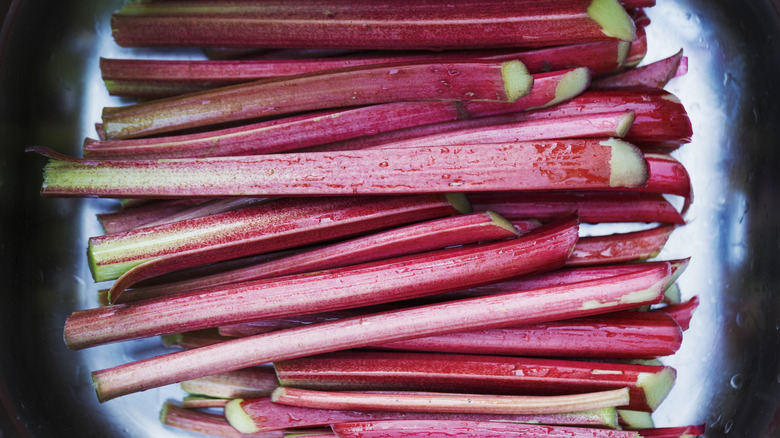 trimmed and washed rhubarb stems