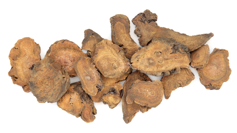 dried rhubarb root