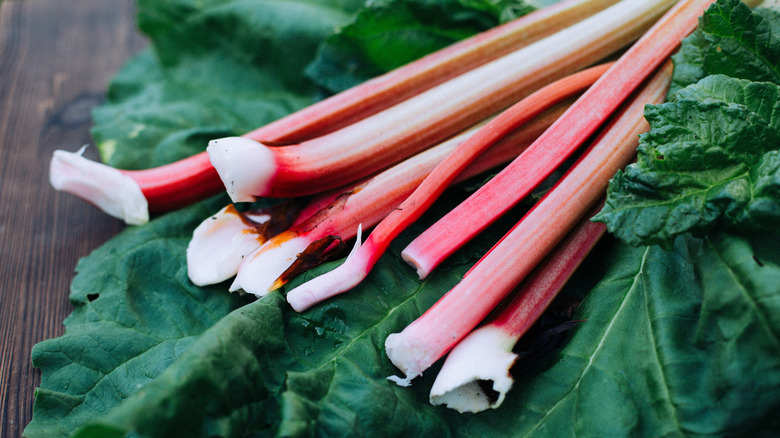 rhubarb stems on leaves