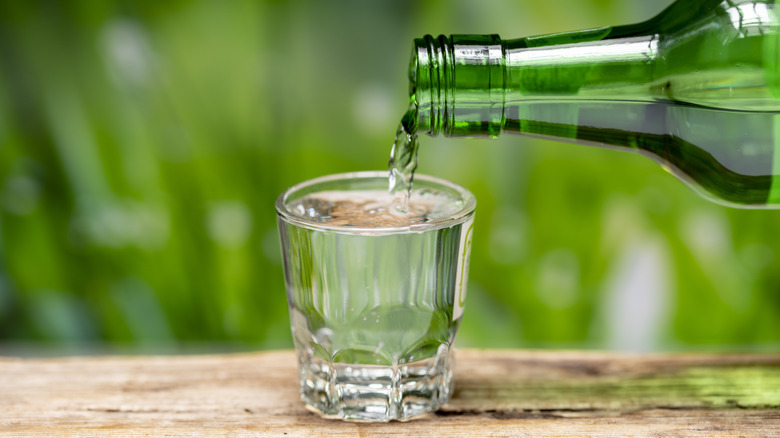 Soju being poured into a cup